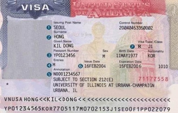 995f20ccae2fd5775d4a588501d52193_1545236