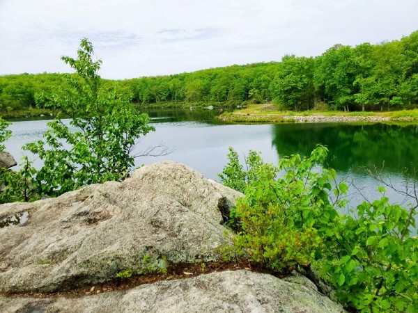 69c7df2699930e47816667733ebe3614_1591208