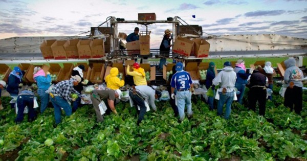 352262b1eeb77defef09af3da3d967a3_1754690